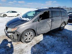 Honda salvage cars for sale: 2016 Honda Odyssey exl
