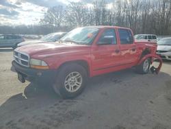 Dodge Dakota Vehiculos salvage en venta: 2002 Dodge Dakota Quad slt
