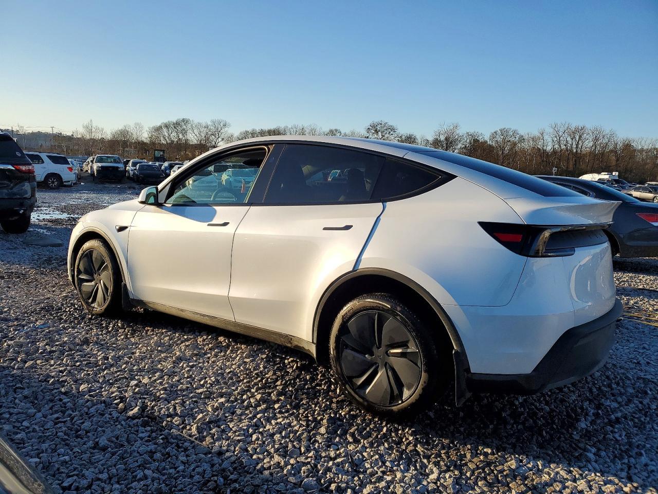 2026 Tesla Model y