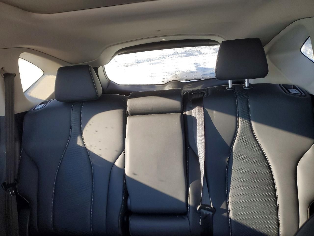 2019 Acura Rdx Technology