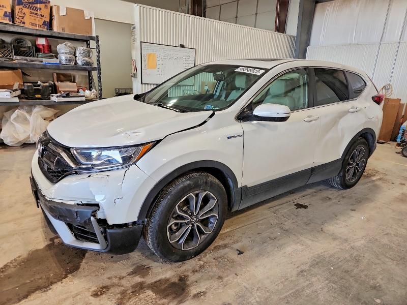 2022 Honda Cr-v exl