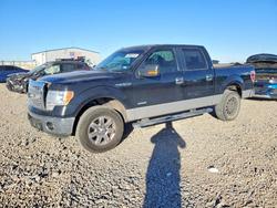 Ford salvage cars for sale: 2013 Ford F150 Supercrew