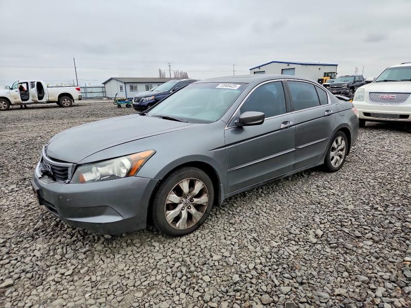 2010 Honda Accord ex