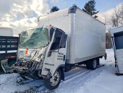 New arrivals for sale at auction: 2024 Isuzu NPR HD