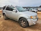 2009 Ford Escape Limited