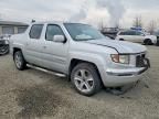 2007 Honda Ridgeline rtl