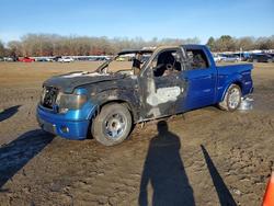 Ford salvage cars for sale: 2013 Ford F150 Supercrew