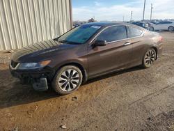 2013 Honda Accord exl for sale in Temple, TX