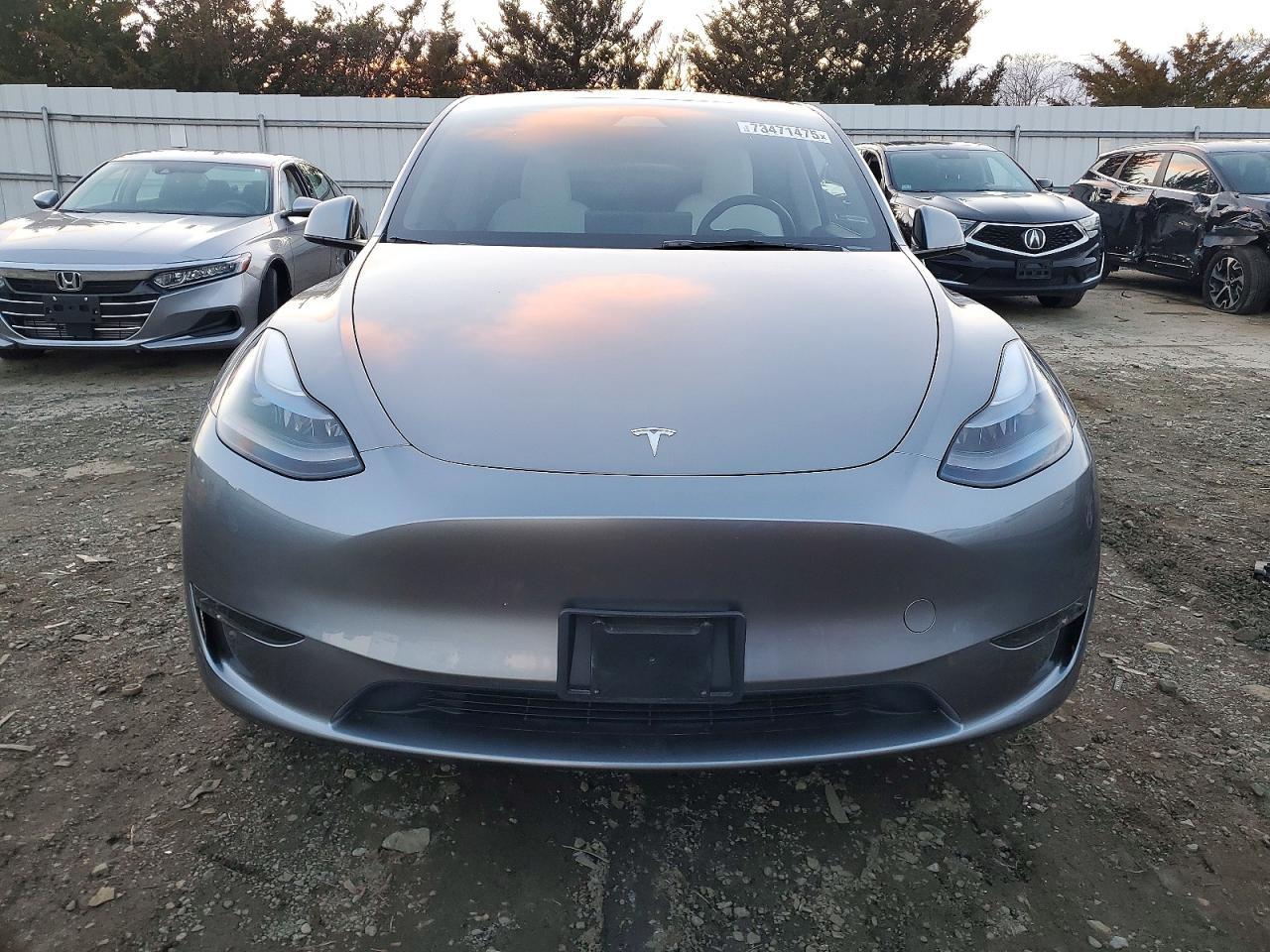 2025 Tesla Model y