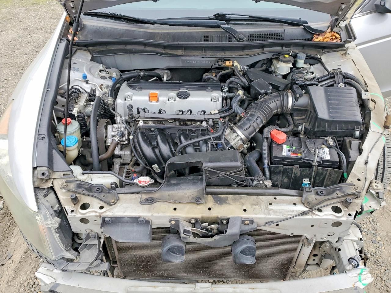 2010 Honda Accord lxp