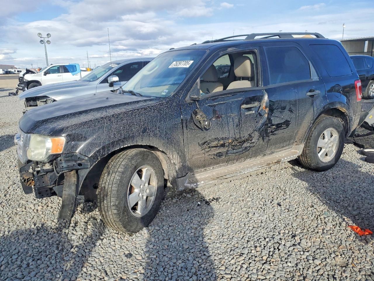 2010 Ford Escape xlt