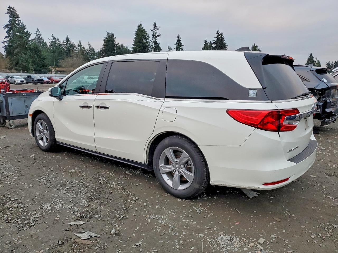 2019 Honda Odyssey exl