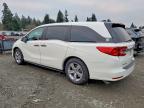 2019 Honda Odyssey exl
