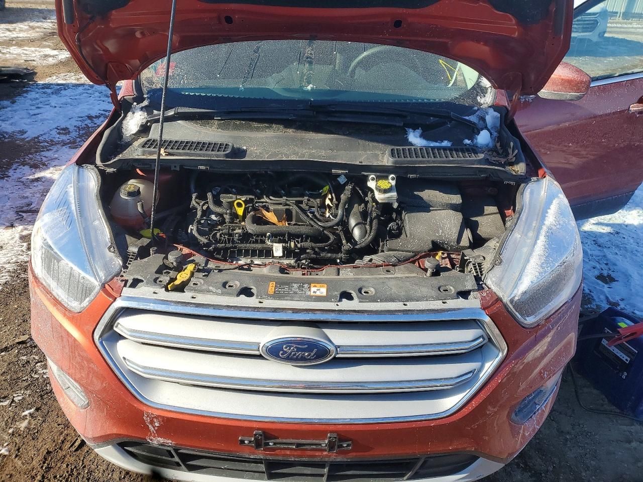 2019 Ford Escape se