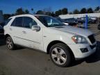 2010 Mercedes-Benz Ml 350 Bluetec