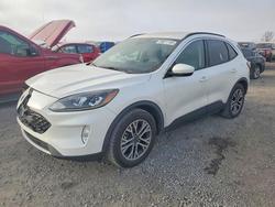 Ford salvage cars for sale: 2020 Ford Escape sel