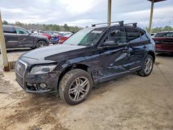 Audi salvage cars for sale: 2016 Audi Q5 Premium Plus