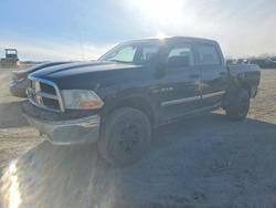 Dodge salvage cars for sale: 2010 Dodge RAM 1500