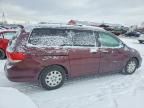 2008 Honda Odyssey lx