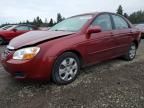 2007 KIA Spectra ex