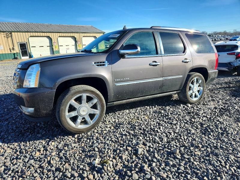 2010 Cadillac Escalade Premium