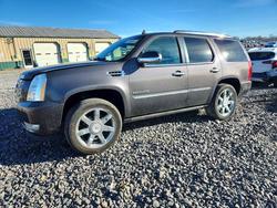 Cadillac salvage cars for sale: 2010 Cadillac Escalade Premium