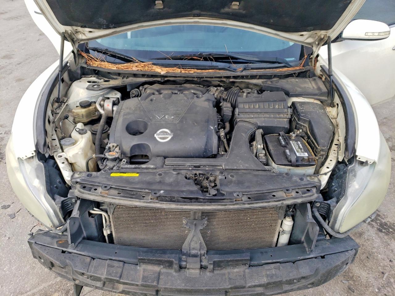 2011 Niss Maxima 3.5 s