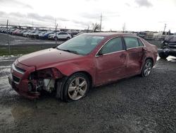 2010 Chevrolet Malibu 2LT en venta en Eugene, OR