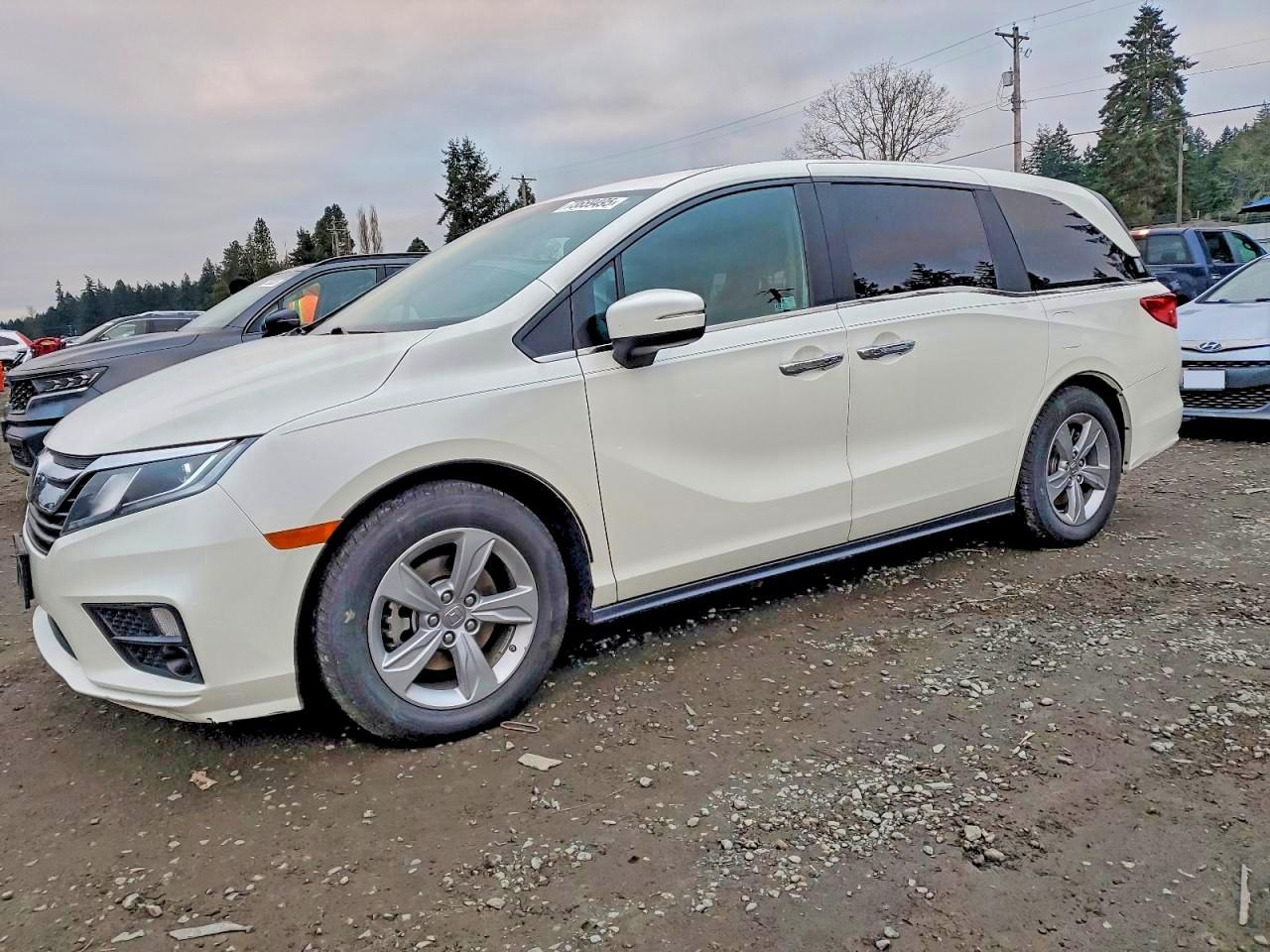 2019 Honda Odyssey exl