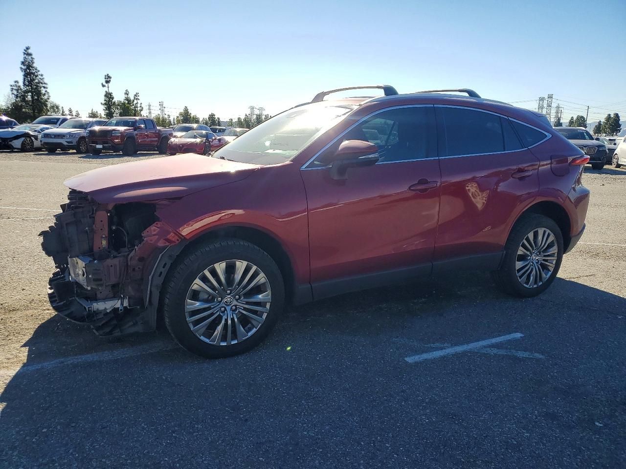 2023 Toyota Venza le