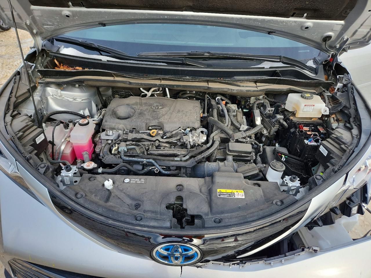 2024 Toyota Sienna Limited