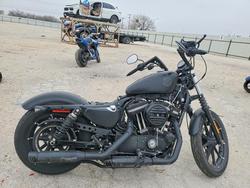 Harley-Davidson Vehiculos salvage en venta: 2019 Harley-Davidson Xl883 n