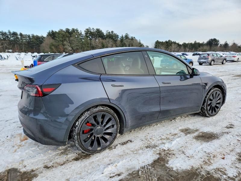 2023 Tesla Model y