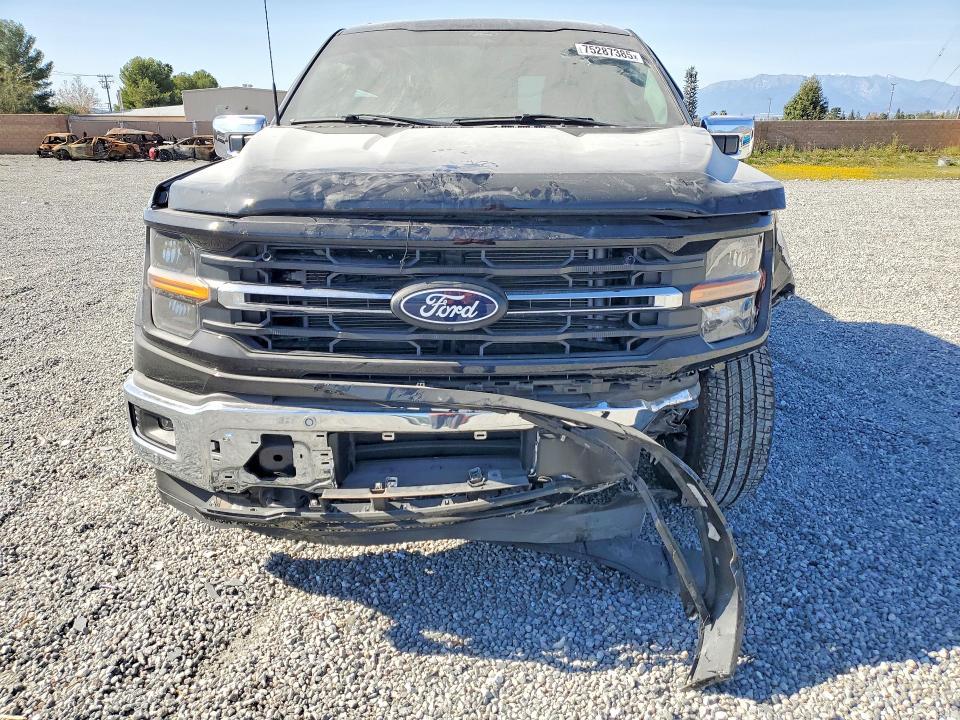2025 Ford F150 XLT