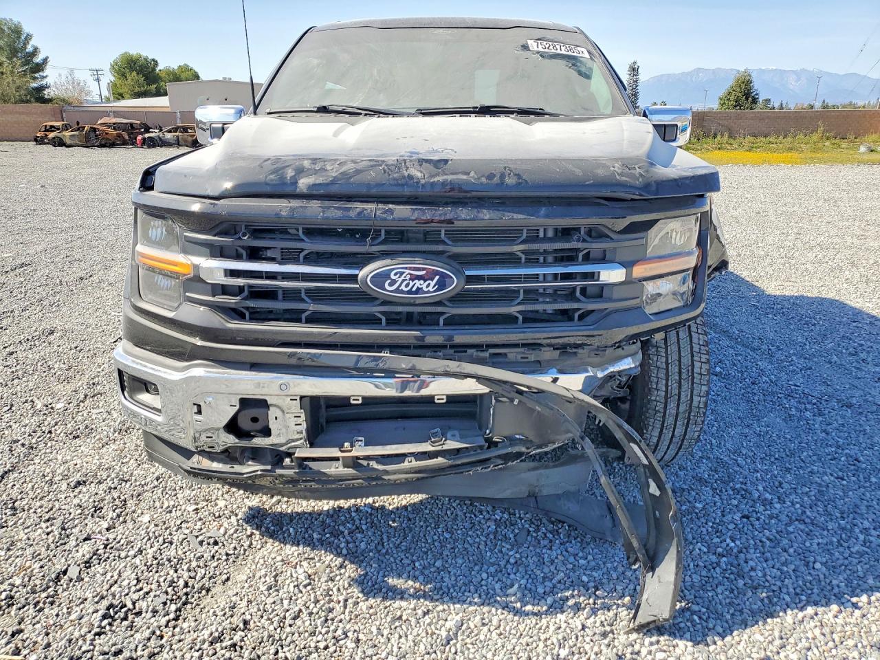 2025 Ford F150 XLT