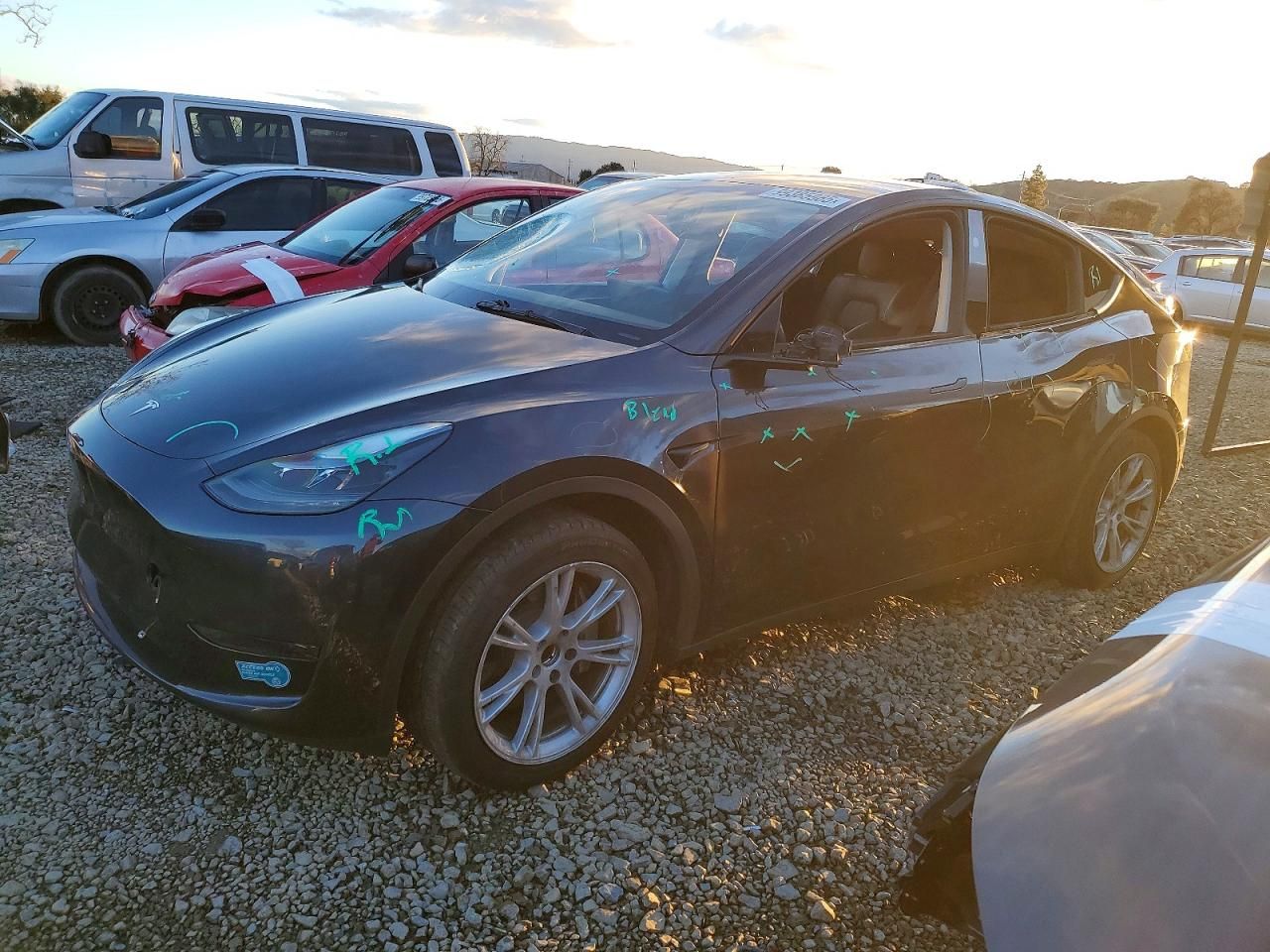 2024 Tesla Model y