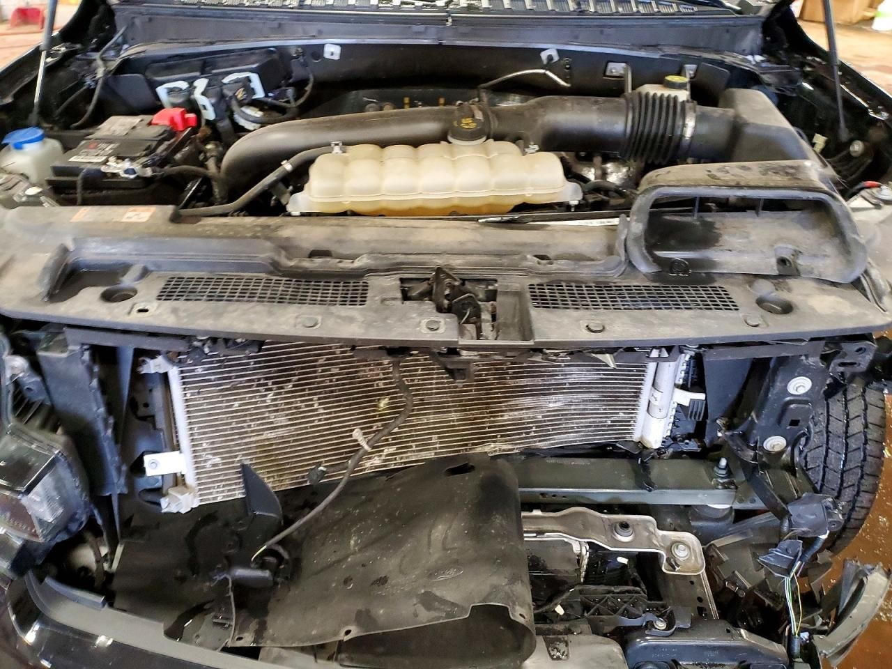 2023 Ford Expedition xlt