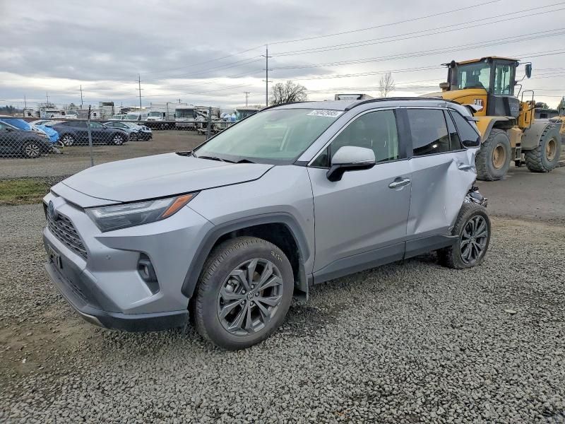 2023 Toyota Rav4 Limited