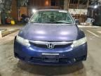 2010 Honda Civic vp