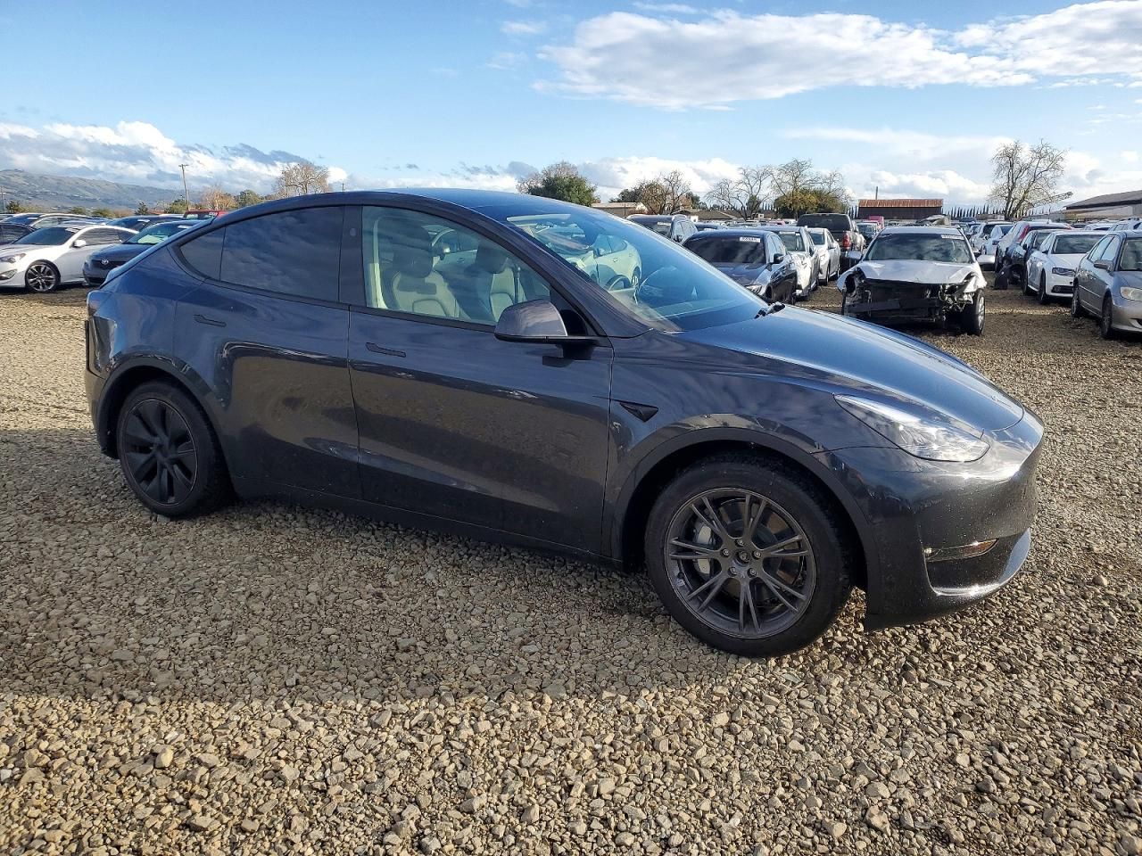 2025 Tesla Model y