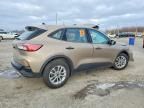 2020 Ford Escape s