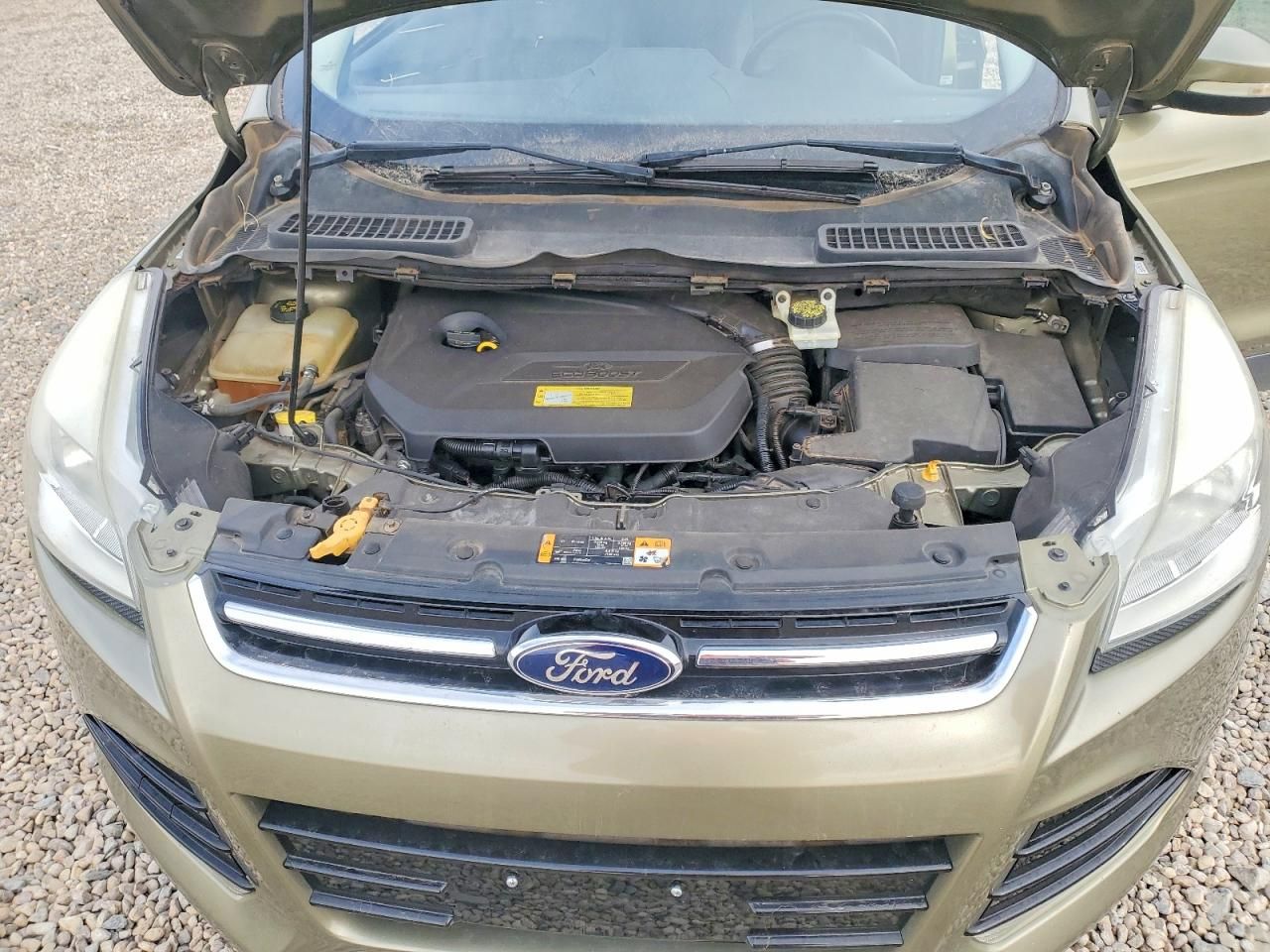 2013 Ford Escape sel