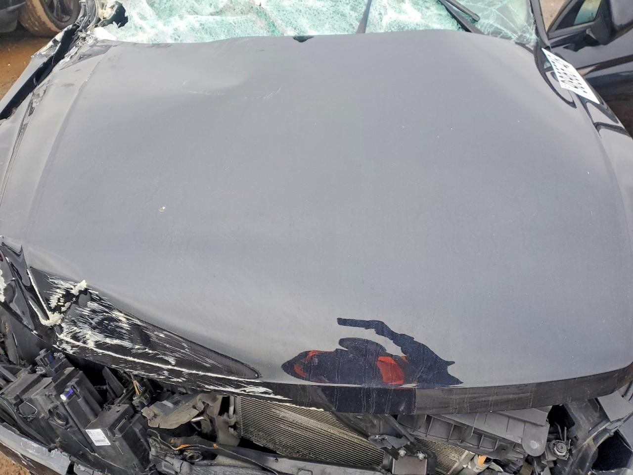 2022 Volkswagen Tiguan s