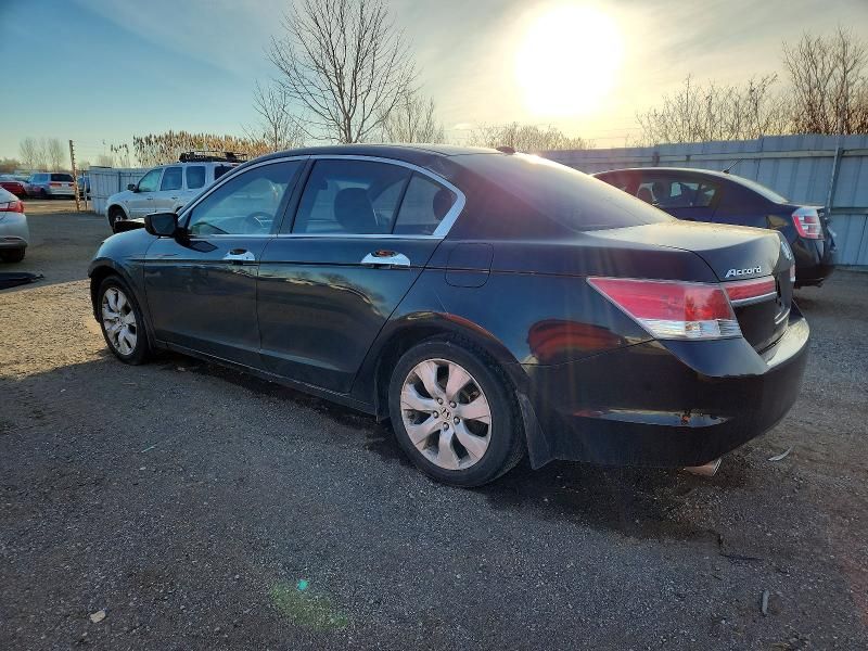 2011 Honda Accord exl