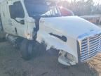 2012 Freightliner Cascadia 125 Semi Truck