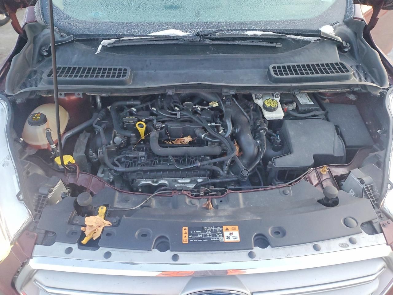 2018 Ford Escape sel