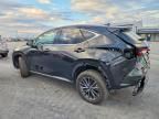 2025 Lexus Nx 250 Premium