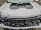 2024 Chevrolet Silverado K1500 Trail Boss Custom
