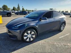 Tesla salvage cars for sale: 2023 Tesla Model y
