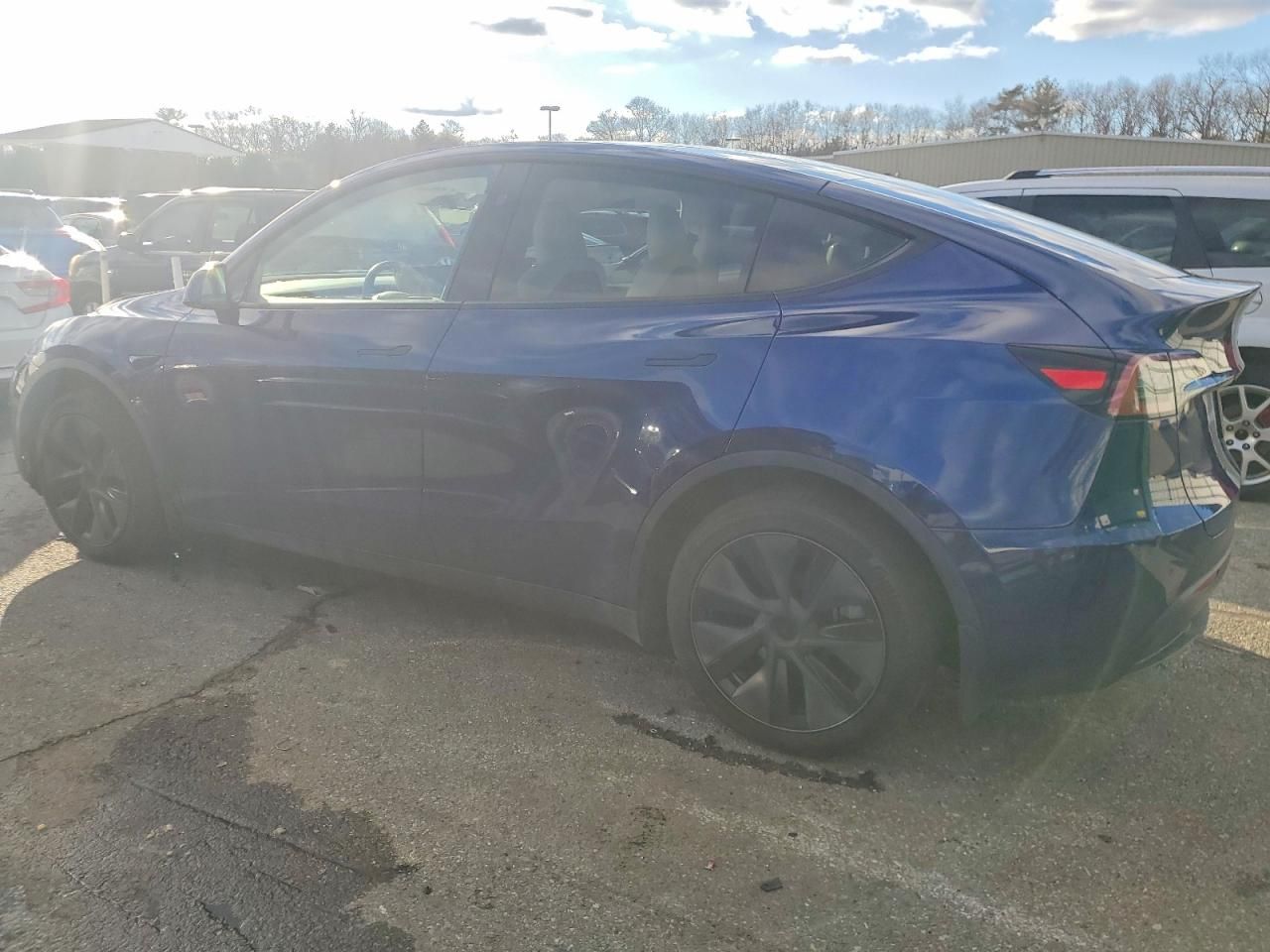 2025 Tesla Model y